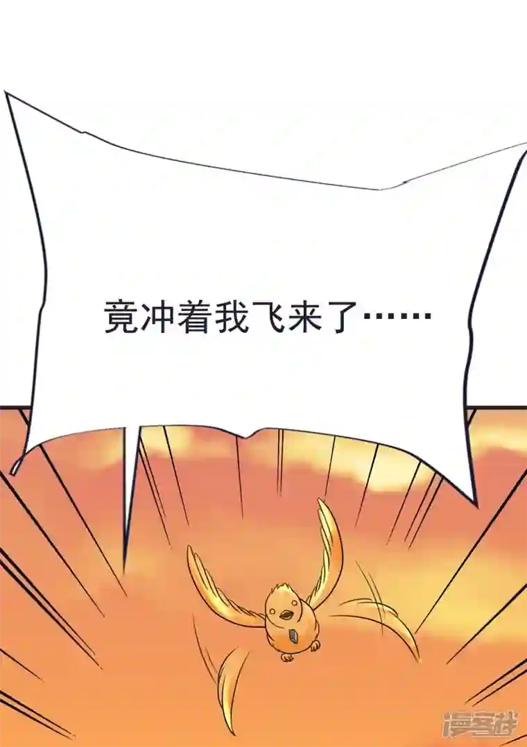 荒天至尊第64话 小金针鸟