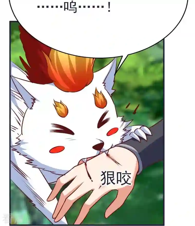 荒天至尊第65话 龙鲤
