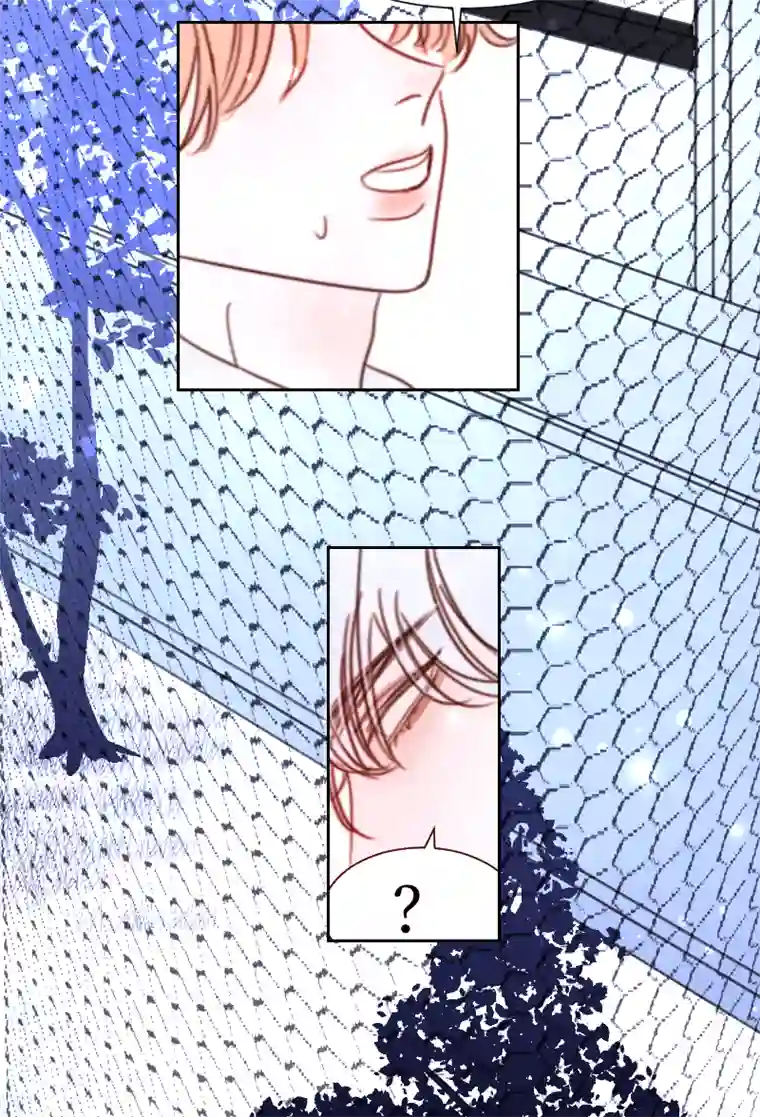 穿越遇上重生疯狗与疑端九