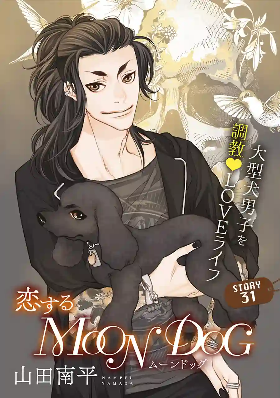 恋上月犬男子第31话