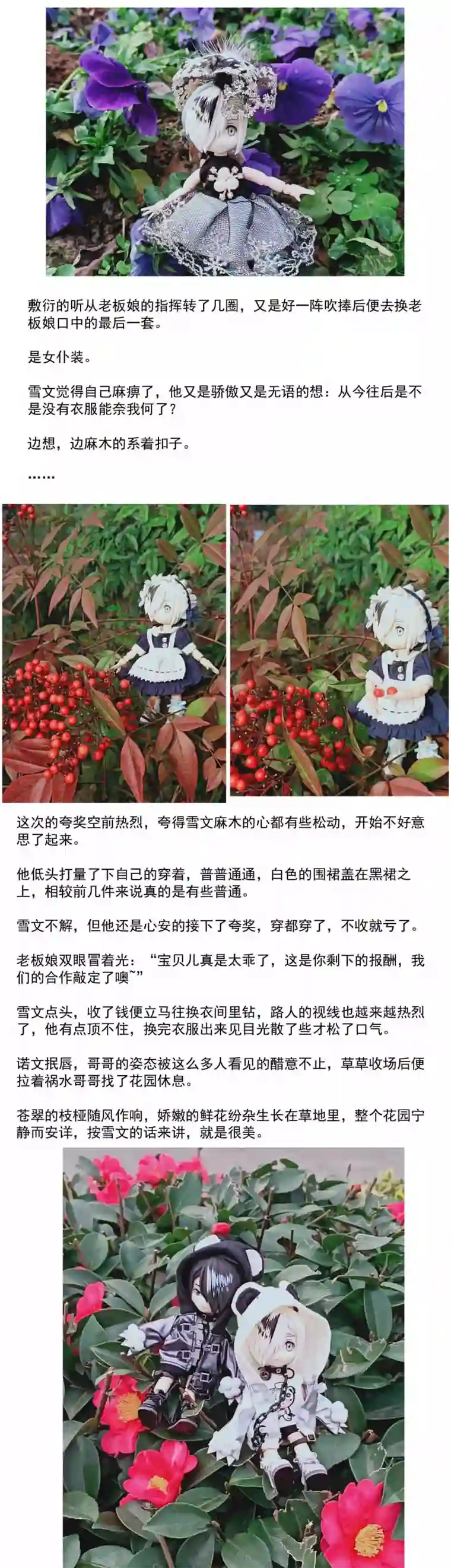 我愿为你献上黎明信