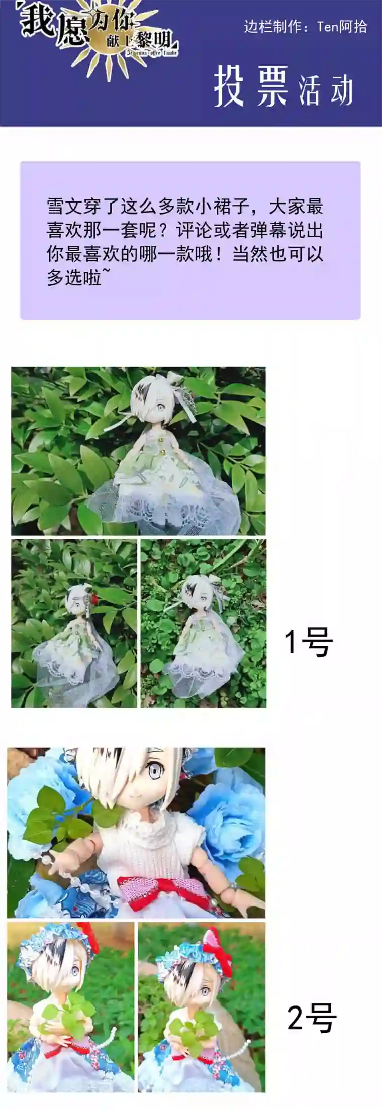 我愿为你献上黎明信