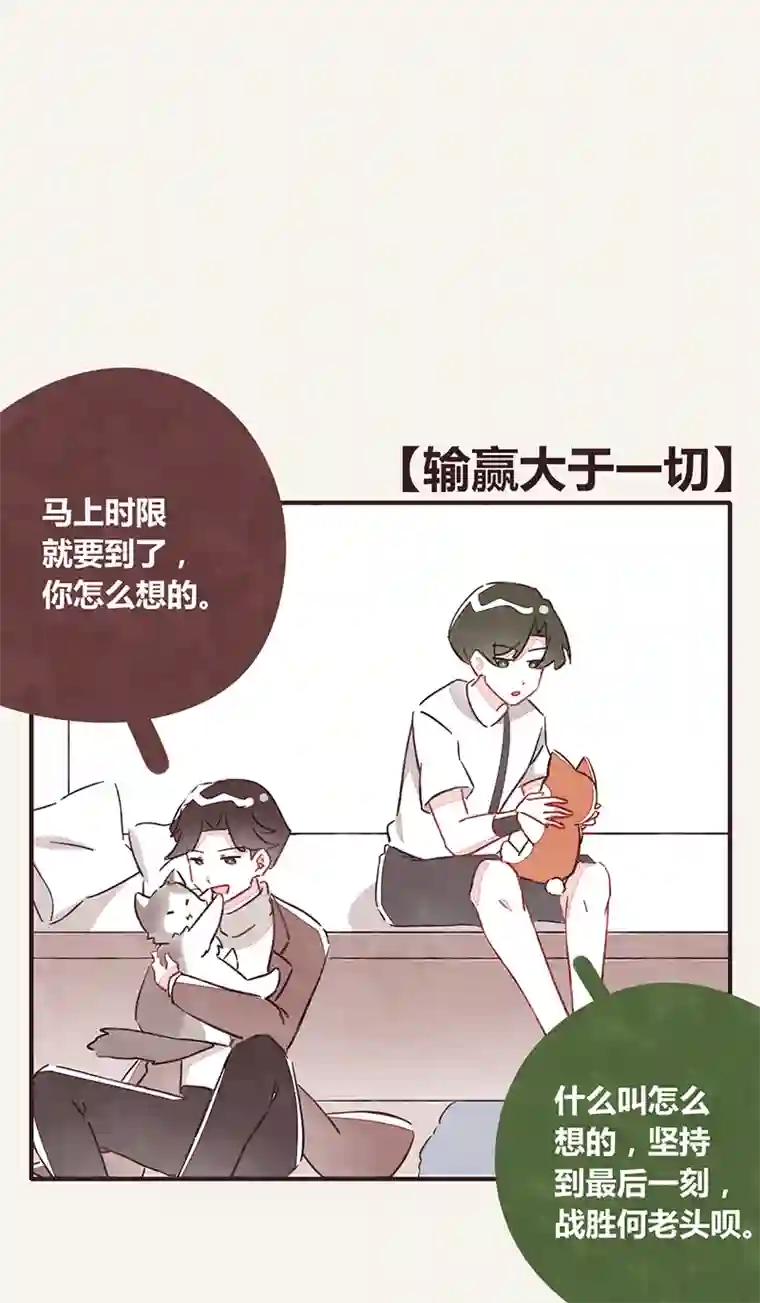 8050340 一年的期限