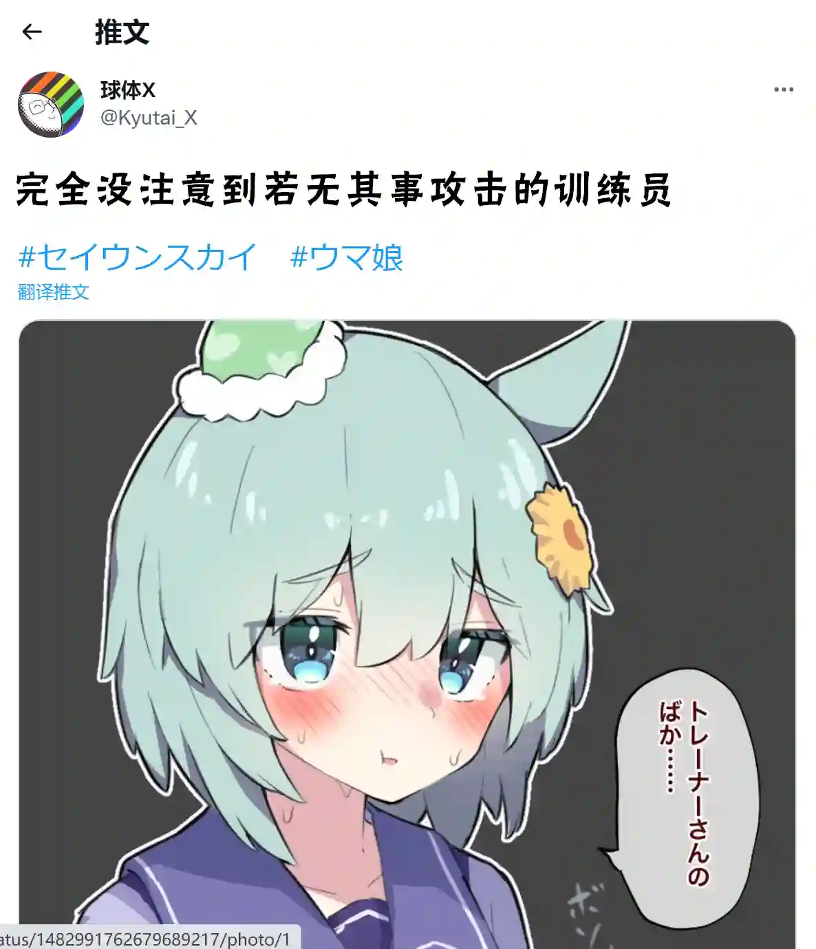 推特赛马娘同人大木头训练员