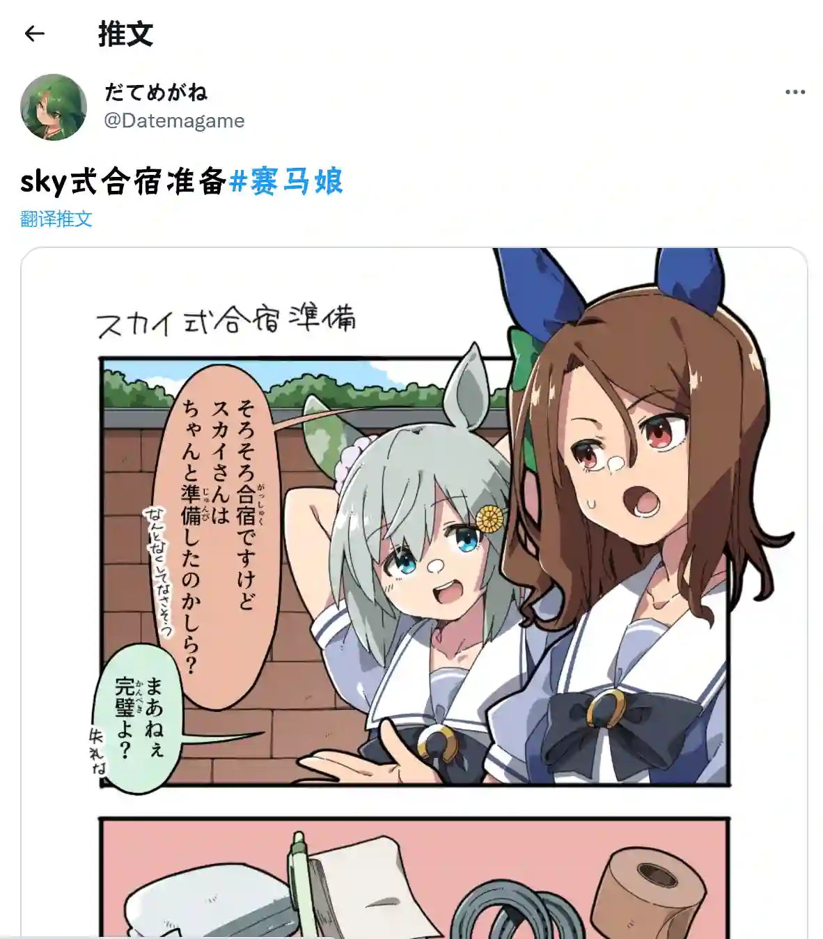 推特赛马娘同人sky式合宿准备