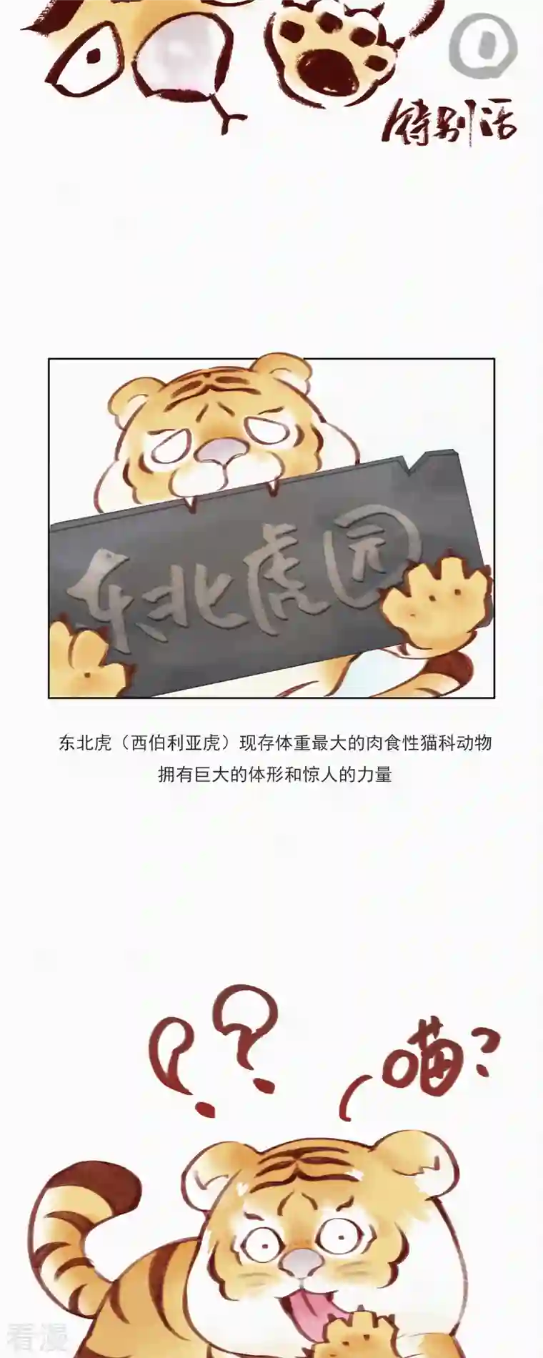 快乐蒜球啊？第11话 春节特别篇