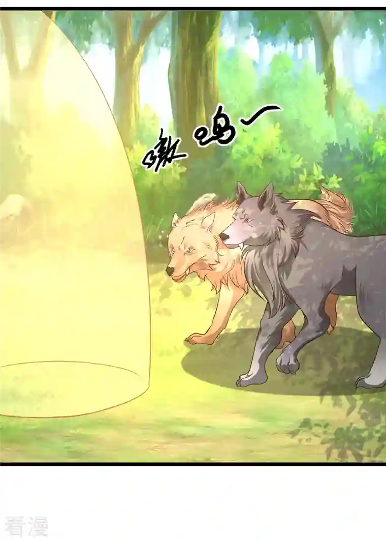 最强桃花运第258话 我的宠物不可能这么熊？？？