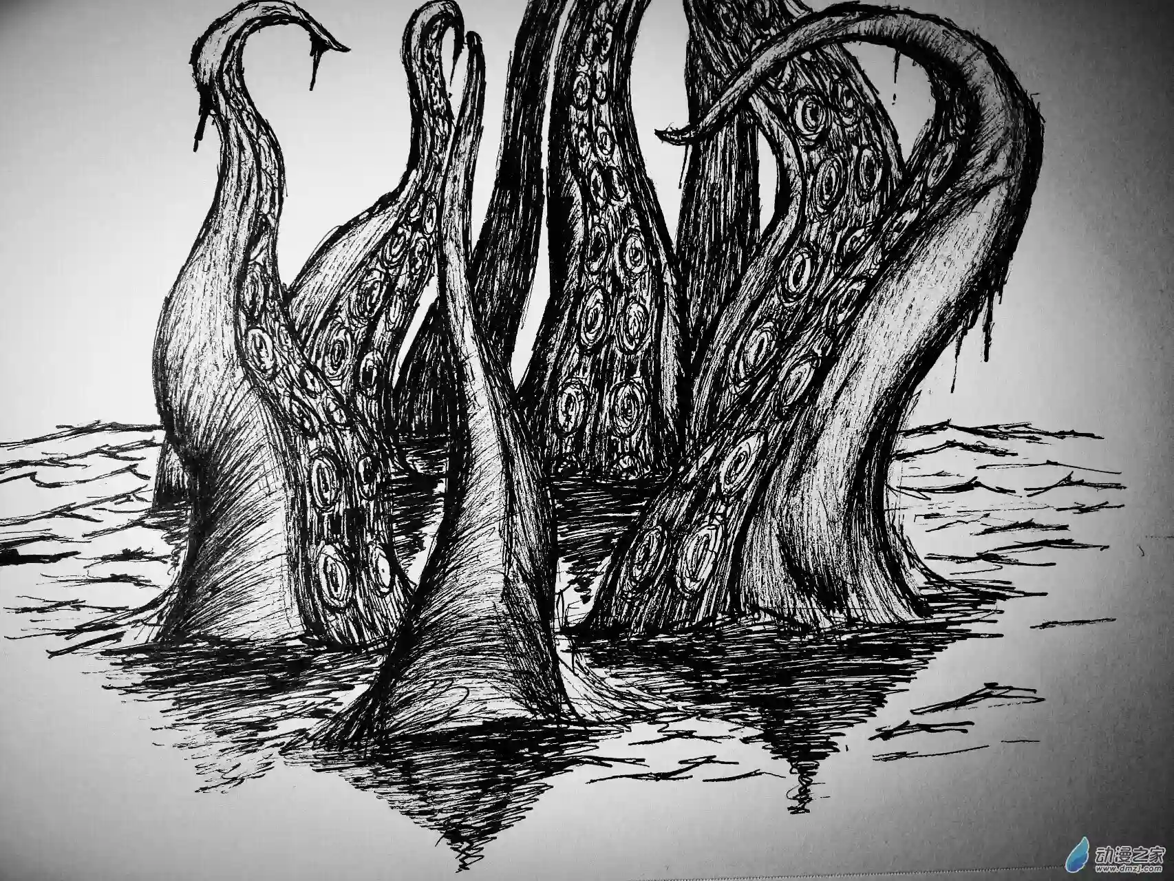 想象之书51 克拉肯