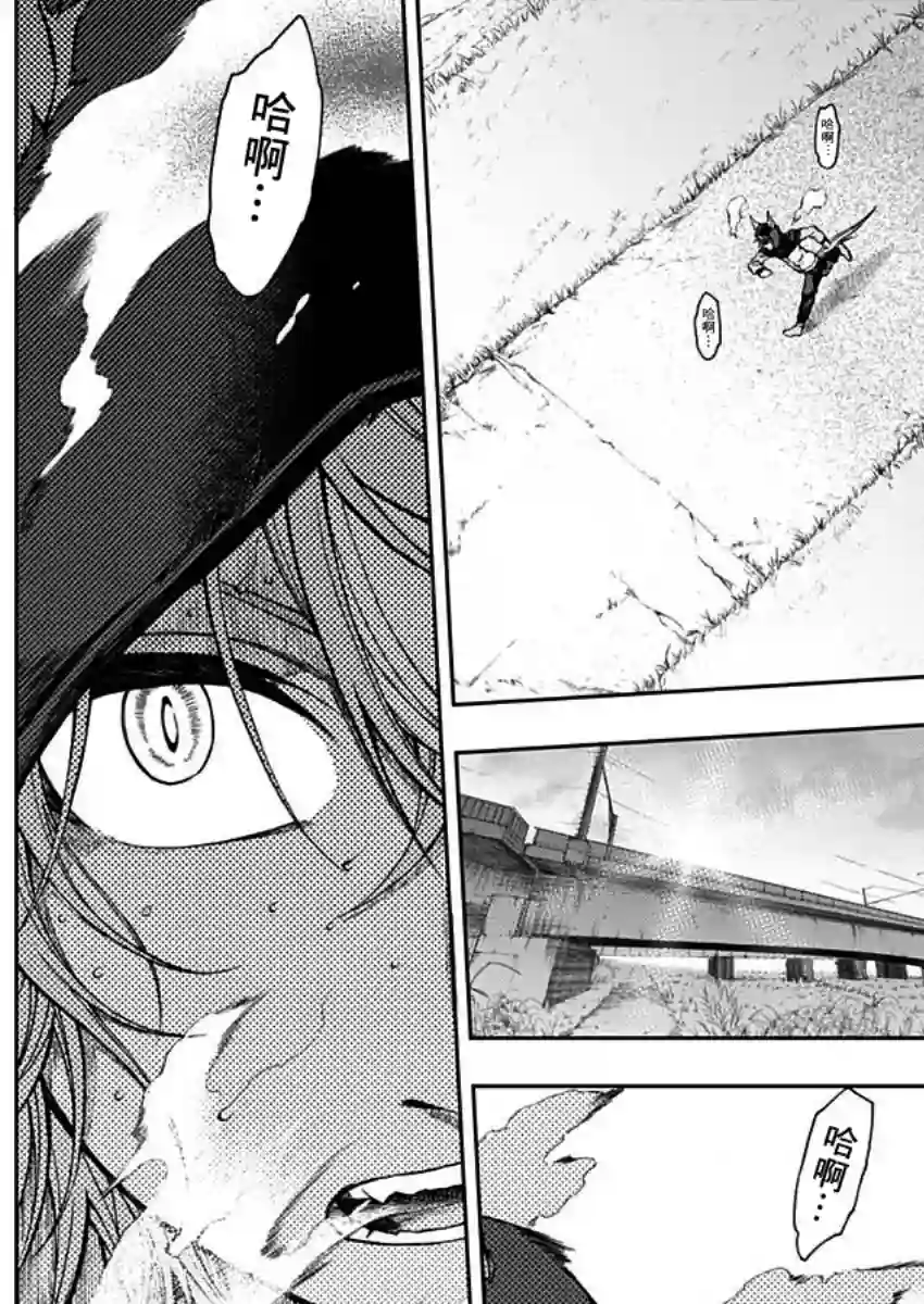 赛马娘：芦毛灰姑娘第61话