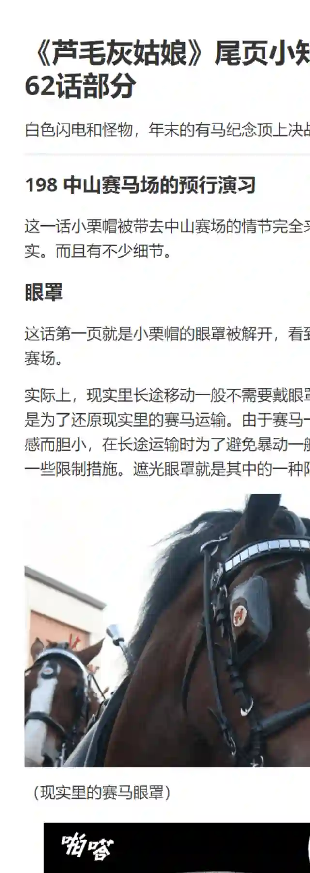 赛马娘：芦毛灰姑娘第62话