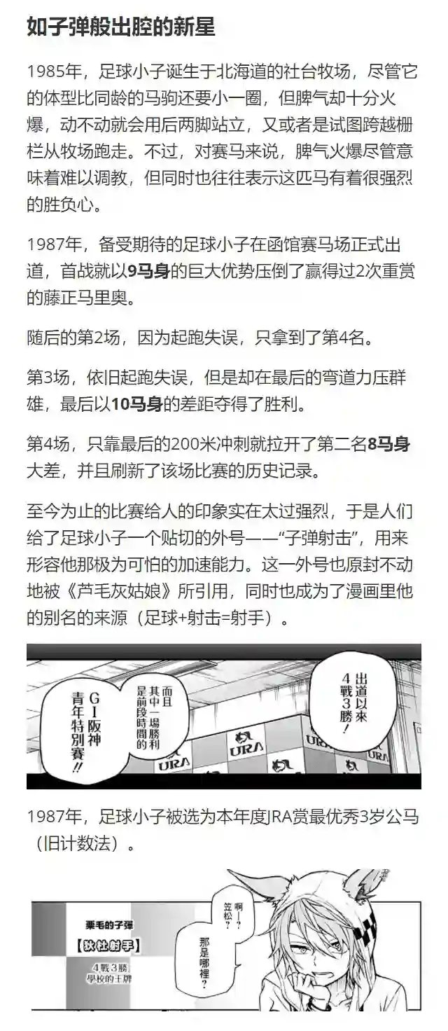 赛马娘：芦毛灰姑娘第65话