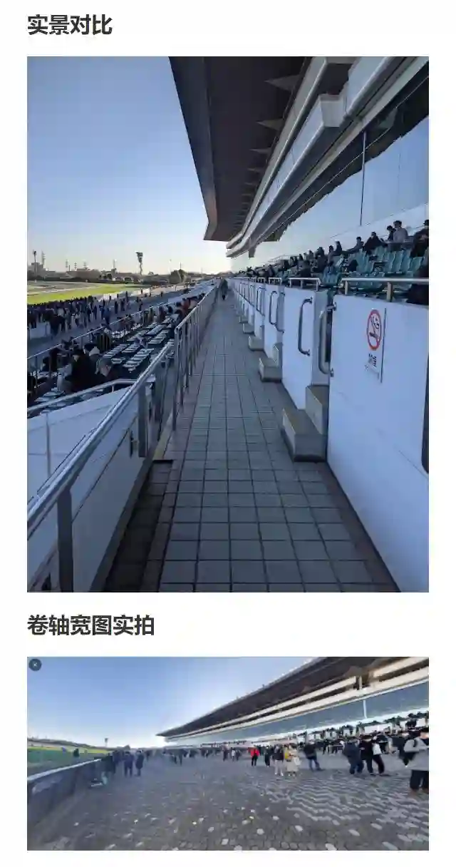 赛马娘：芦毛灰姑娘第67话