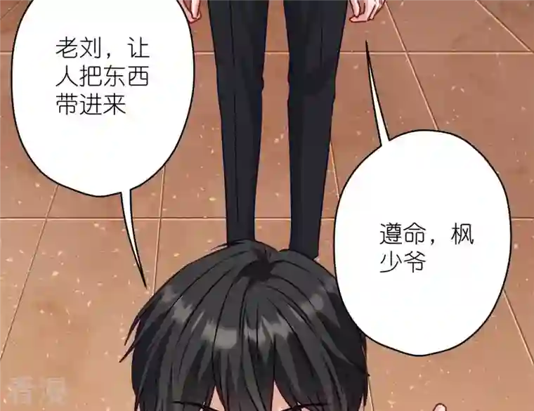 最豪赘婿 龙王殿第197话 我可不是什么好人！