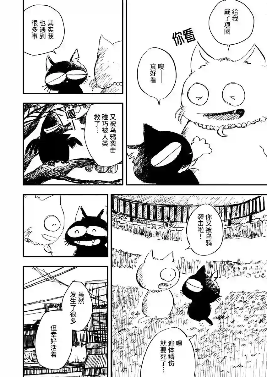黑猫小小的一生第07话