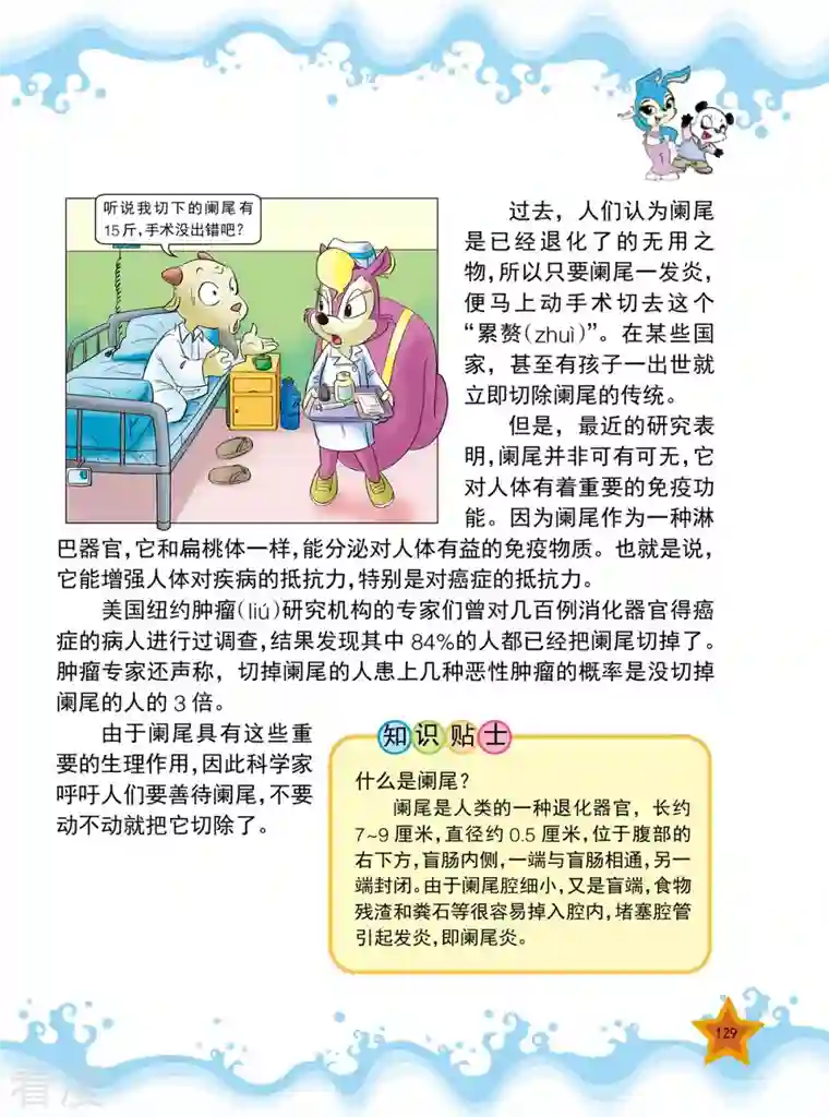 虹猫蓝兔十万个为什么之人体卷第16话