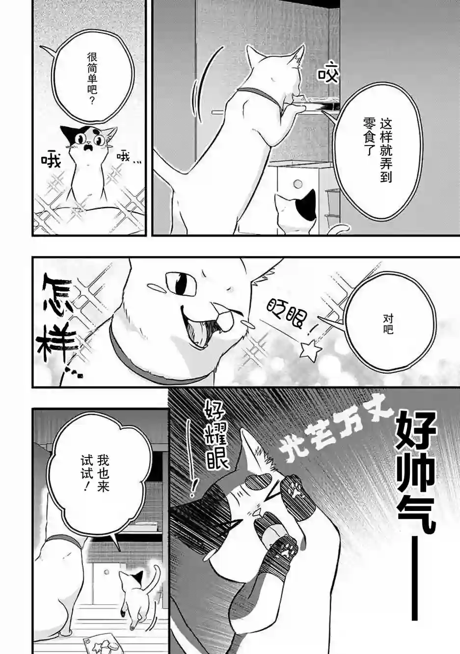 被遗弃的小猫咪与原黑道第26话