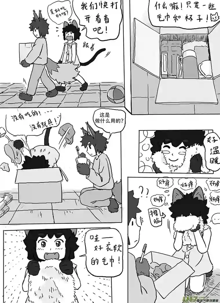 黑猫和狐狸朋友