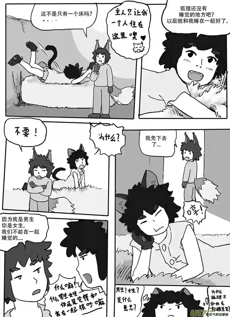 黑猫和狐狸朋友