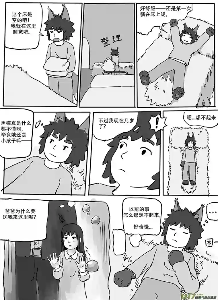 黑猫和狐狸朋友