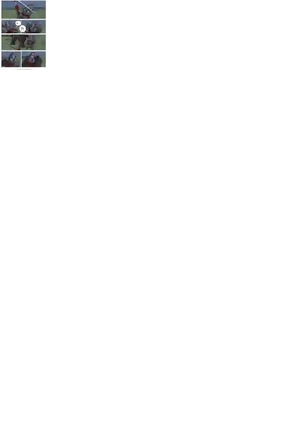 瓦图21-疼痛