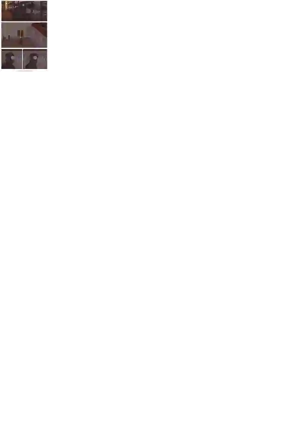瓦图29-塔里瑞欧
