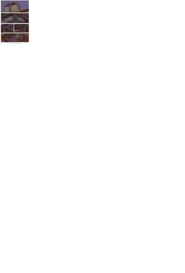 瓦图29-塔里瑞欧