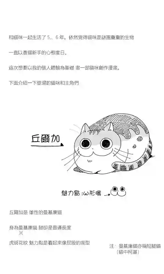 关于养猫我一直是新手第01话