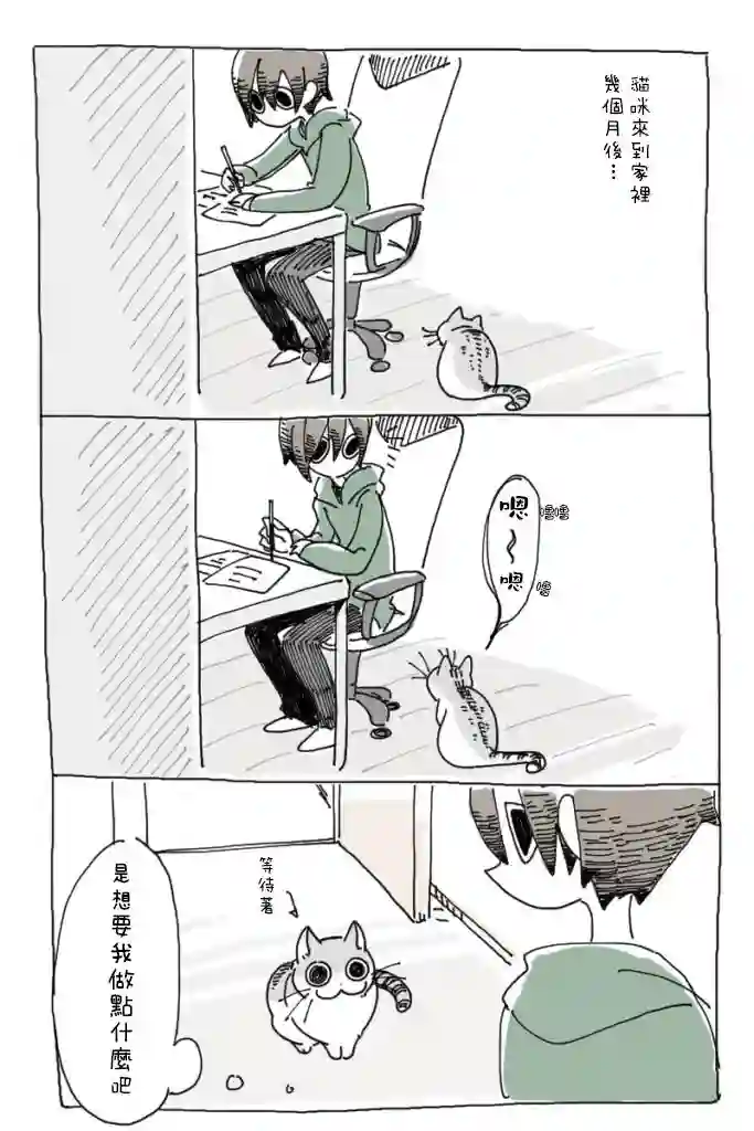 关于养猫我一直是新手第01话