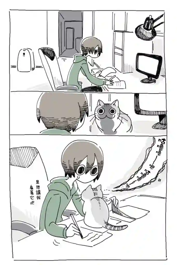 关于养猫我一直是新手第01话