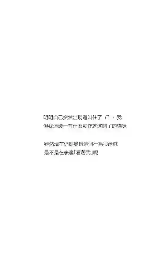关于养猫我一直是新手第01话