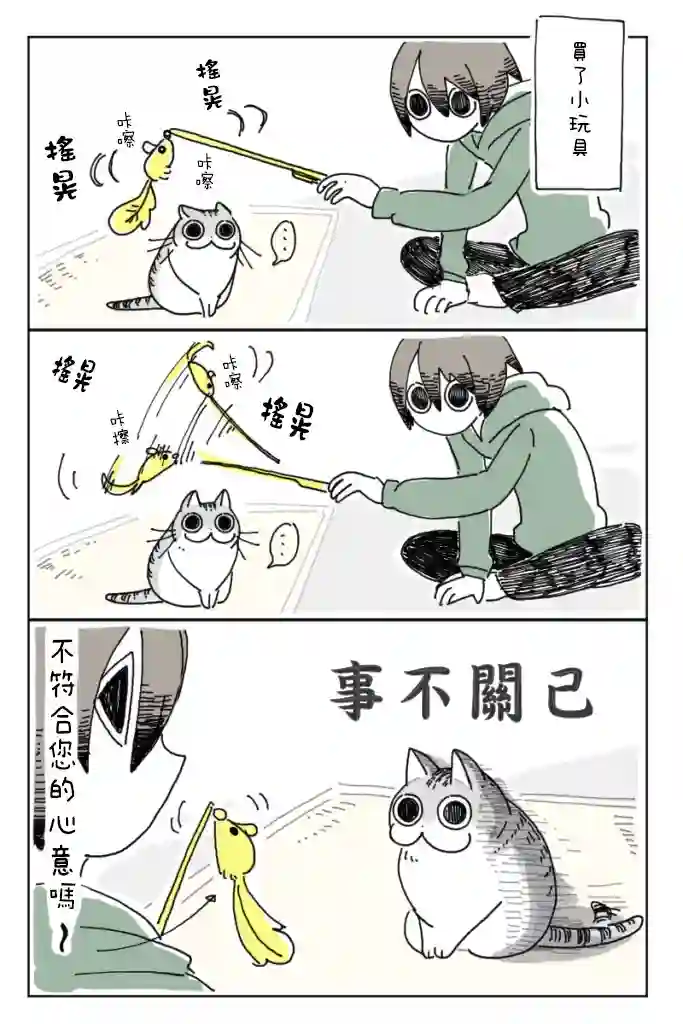 关于养猫我一直是新手第02话