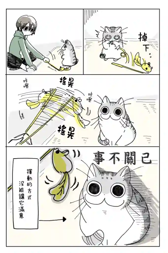 关于养猫我一直是新手第02话