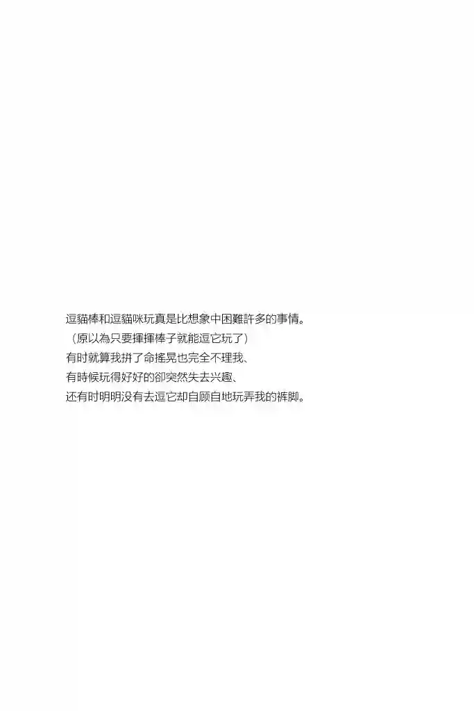 关于养猫我一直是新手第02话