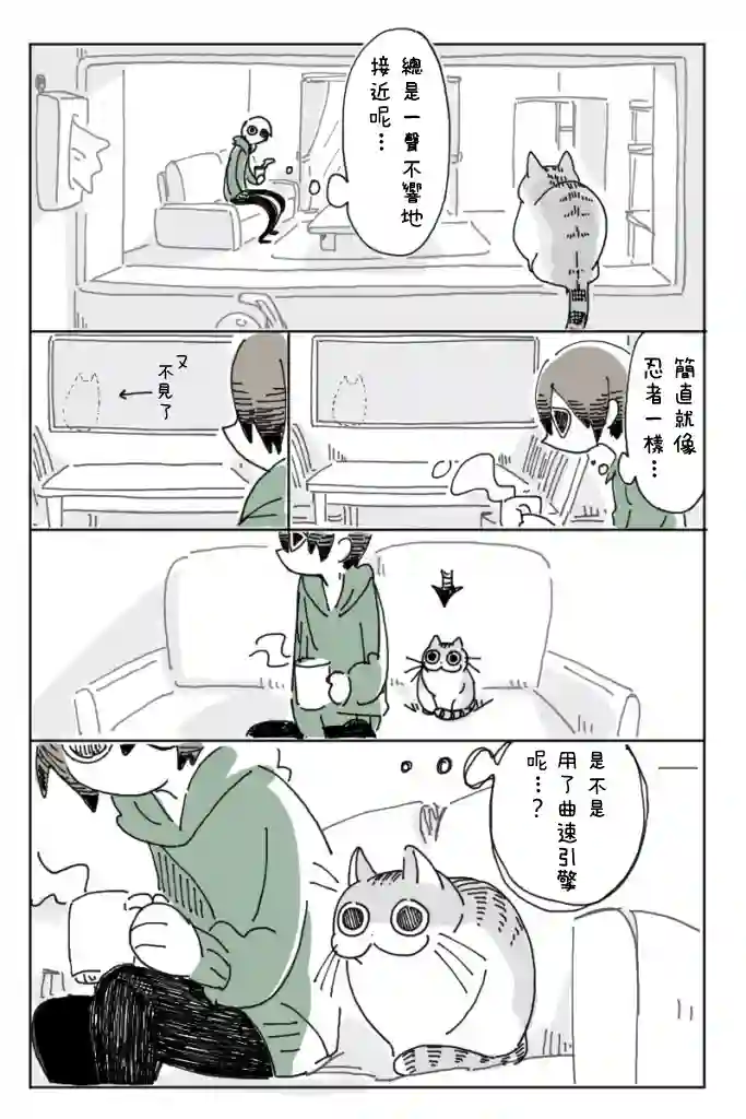 关于养猫我一直是新手第02话