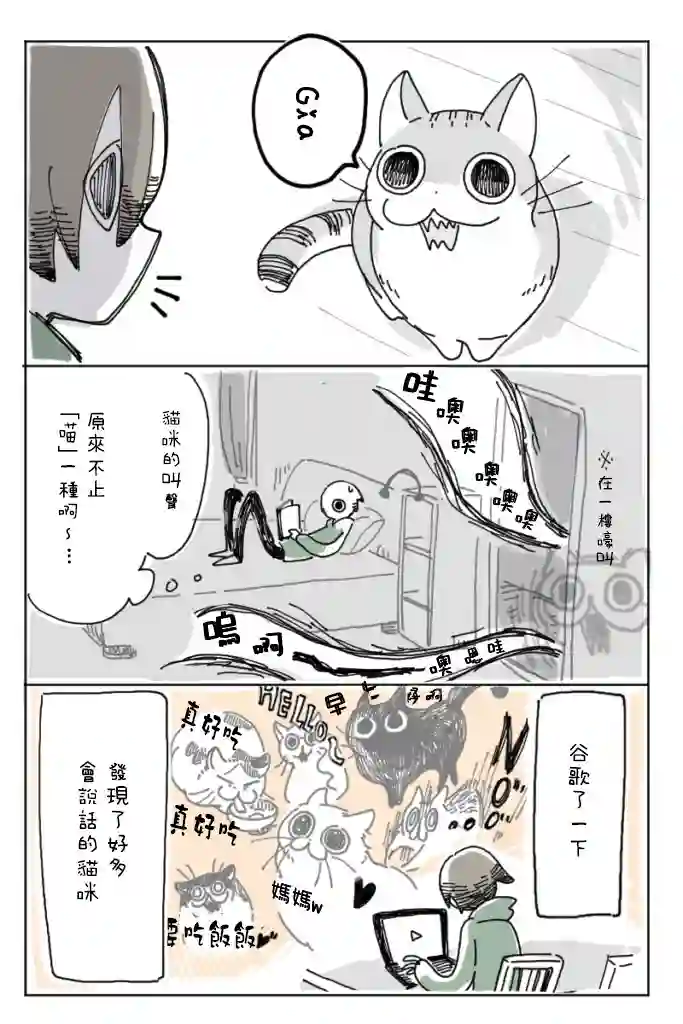 关于养猫我一直是新手第02话