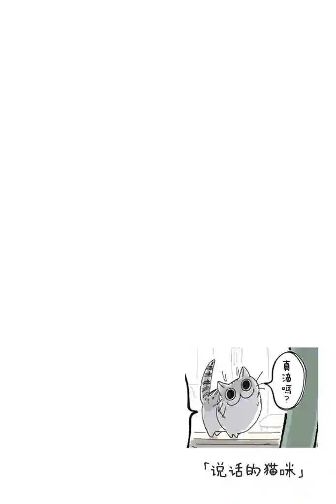 关于养猫我一直是新手第02话
