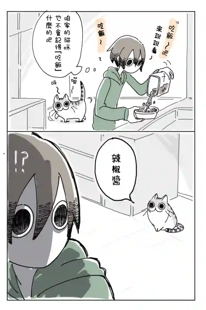 关于养猫我一直是新手第02话