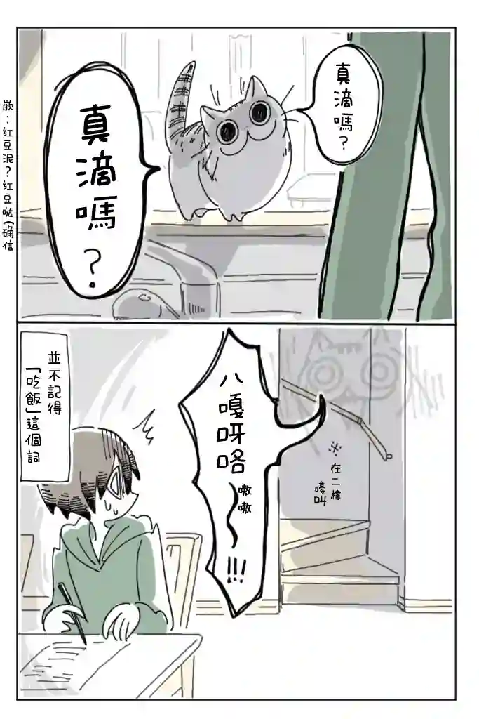关于养猫我一直是新手第02话