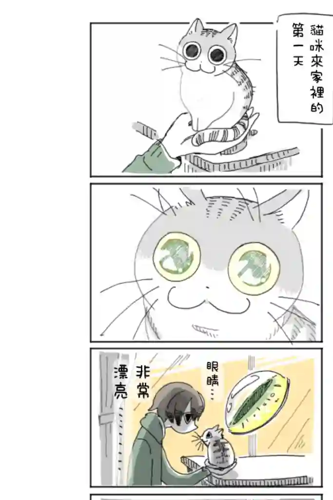 关于养猫我一直是新手第03话