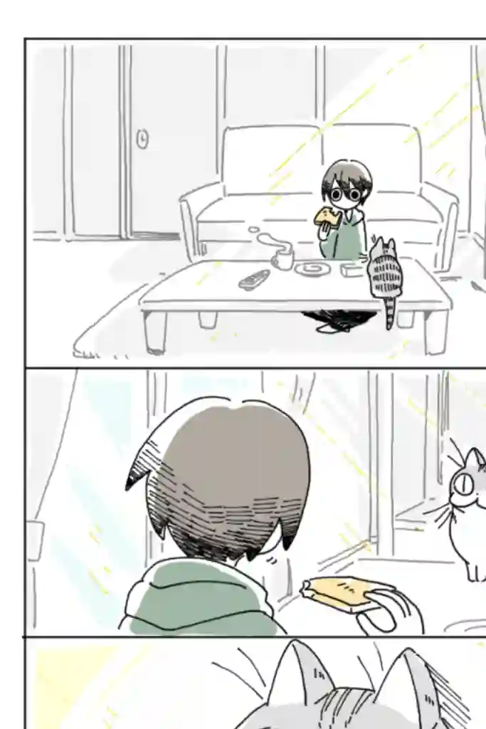 关于养猫我一直是新手第03话