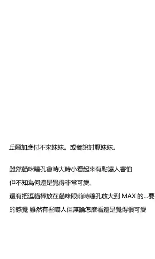 关于养猫我一直是新手第03话
