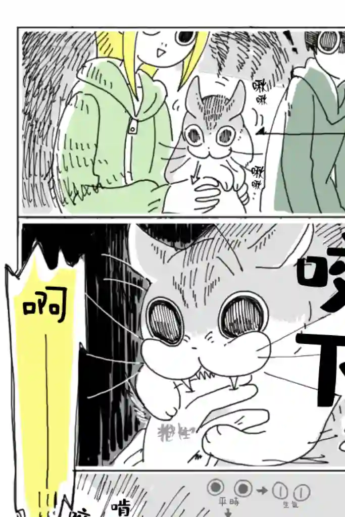 关于养猫我一直是新手第03话