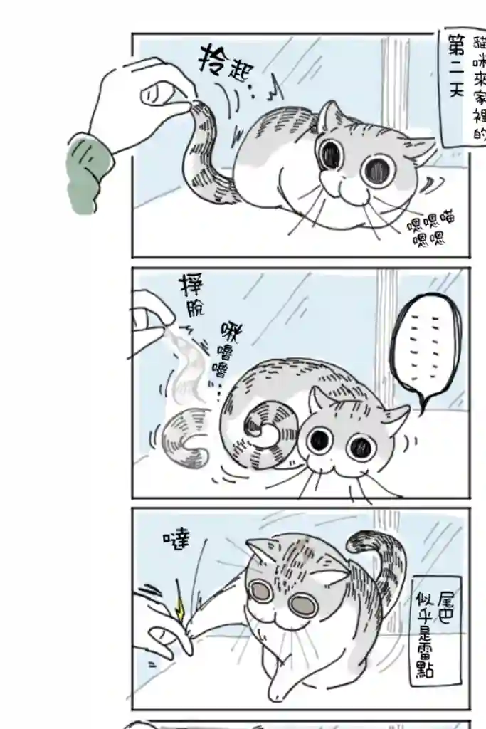关于养猫我一直是新手第03话