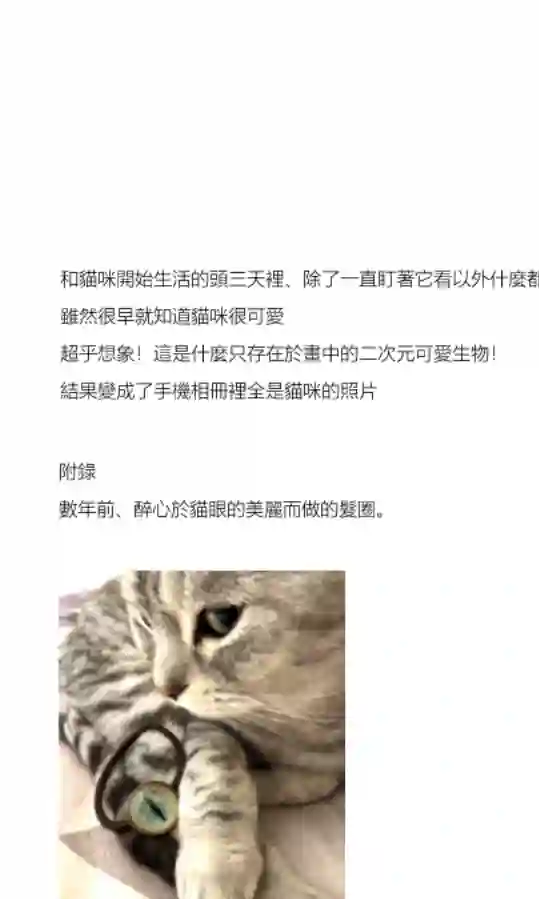 关于养猫我一直是新手第03话