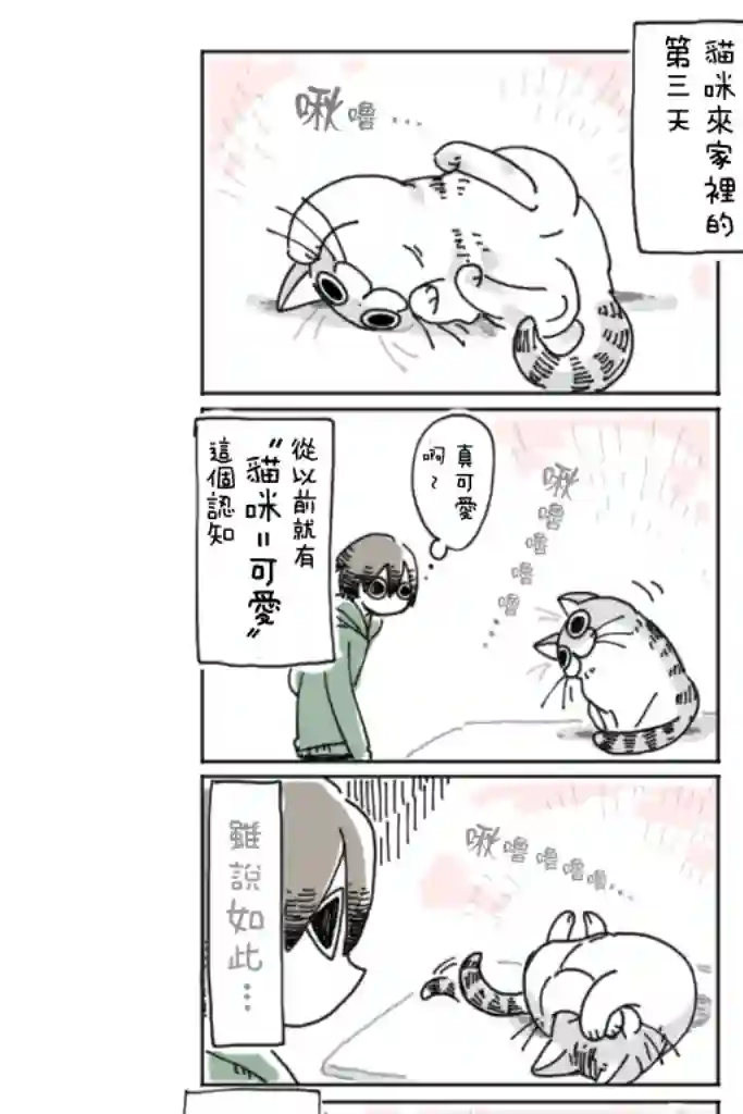 关于养猫我一直是新手第03话