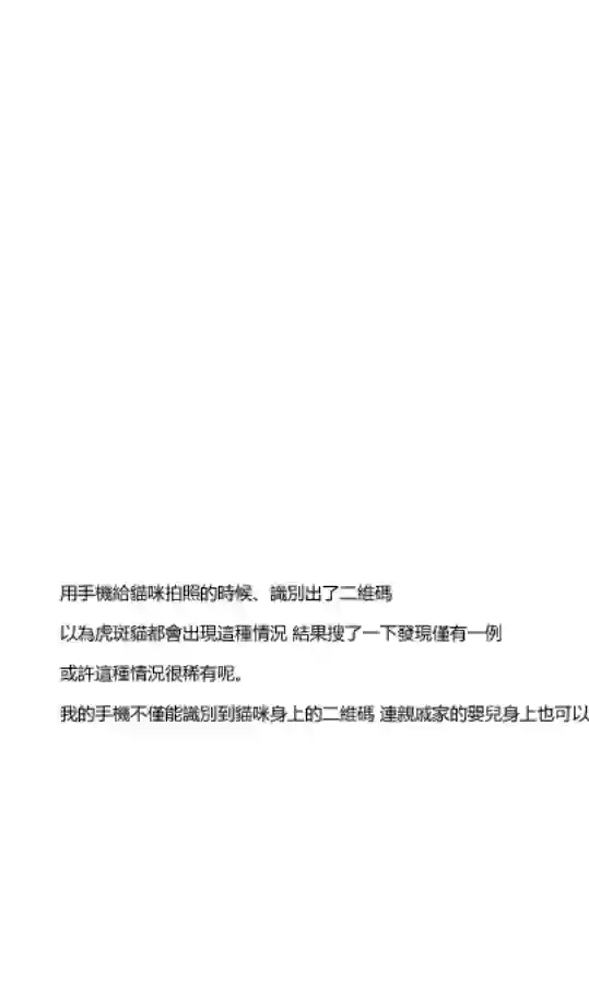 关于养猫我一直是新手第03话