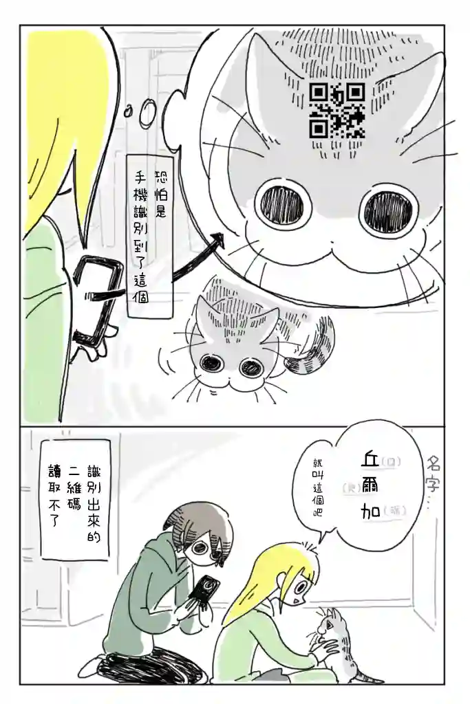关于养猫我一直是新手第03话