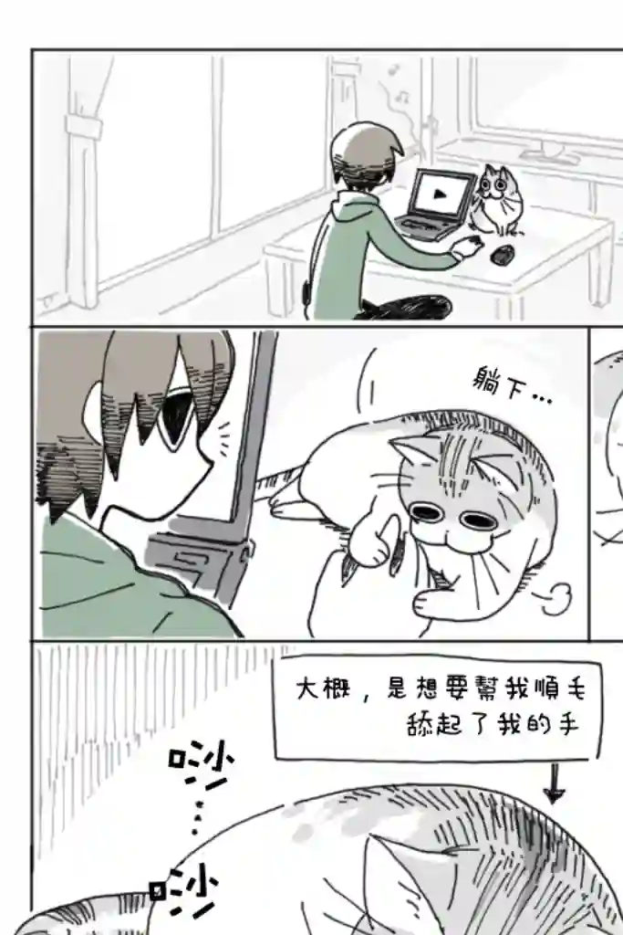 关于养猫我一直是新手第04话