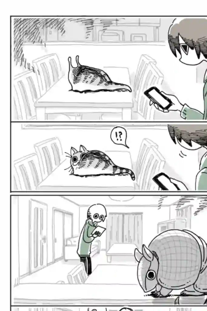 关于养猫我一直是新手第04话