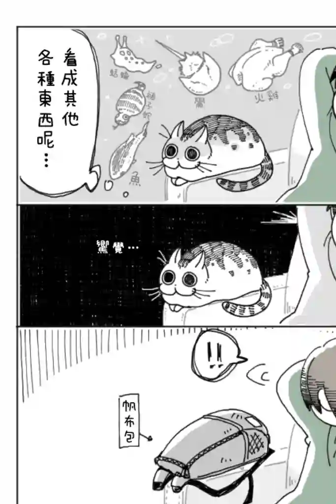 关于养猫我一直是新手第04话